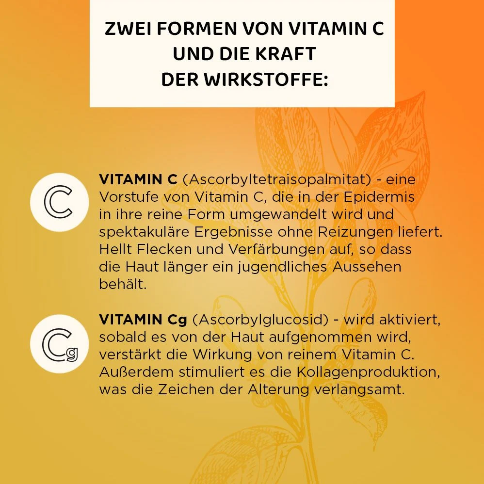 Vorschaubild 7