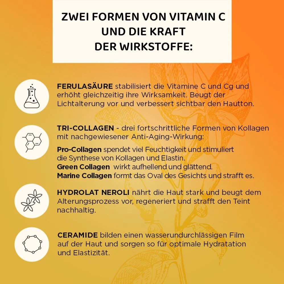 Vorschaubild 8