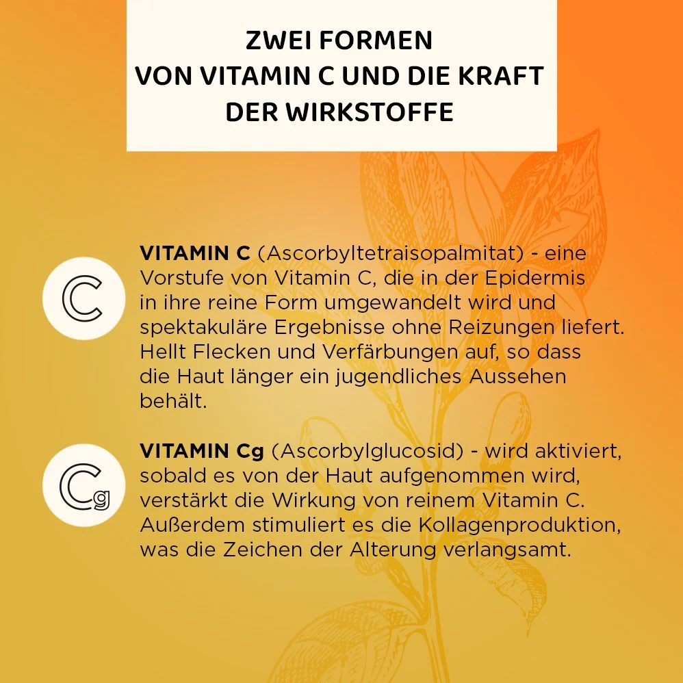 Vorschaubild 7