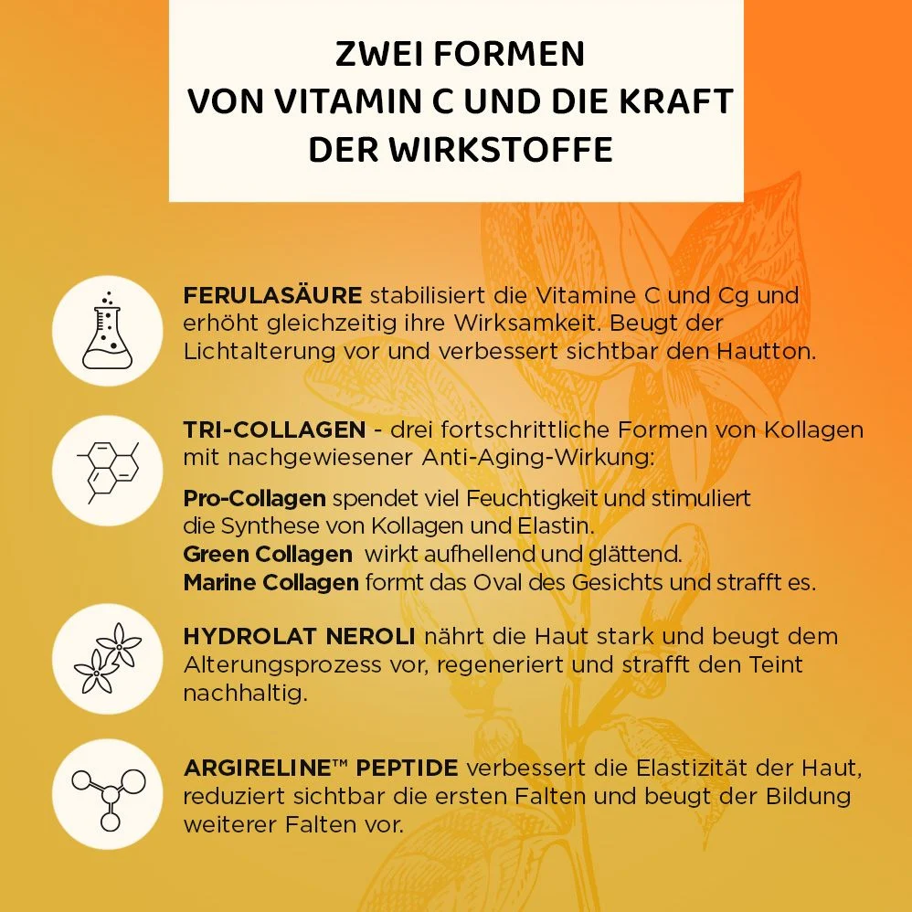 Vorschaubild 8