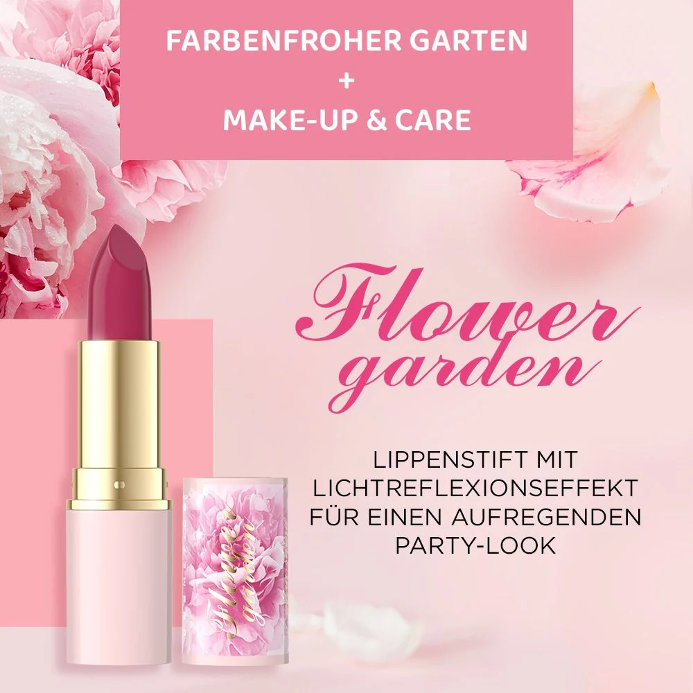 Vorschaubild 3