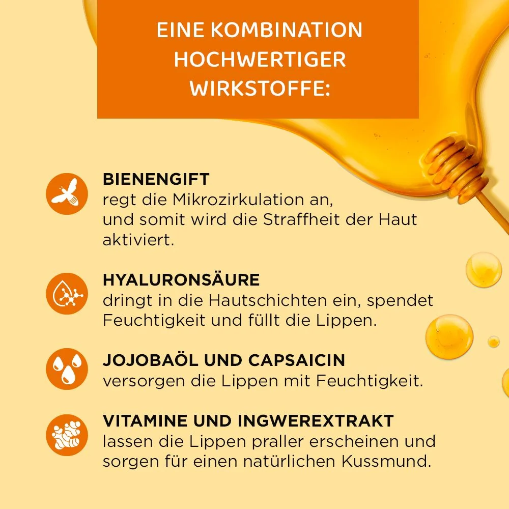 Vorschaubild 5