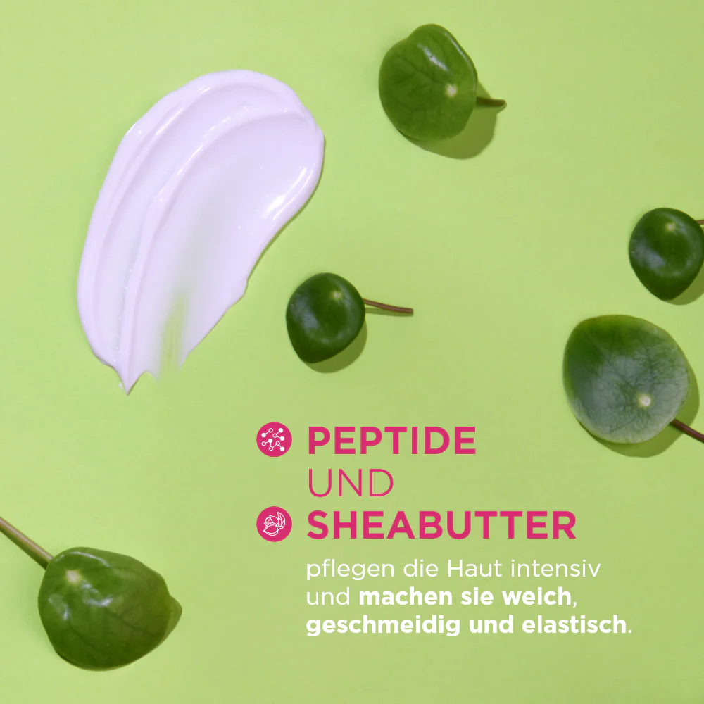 Vorschaubild 5
