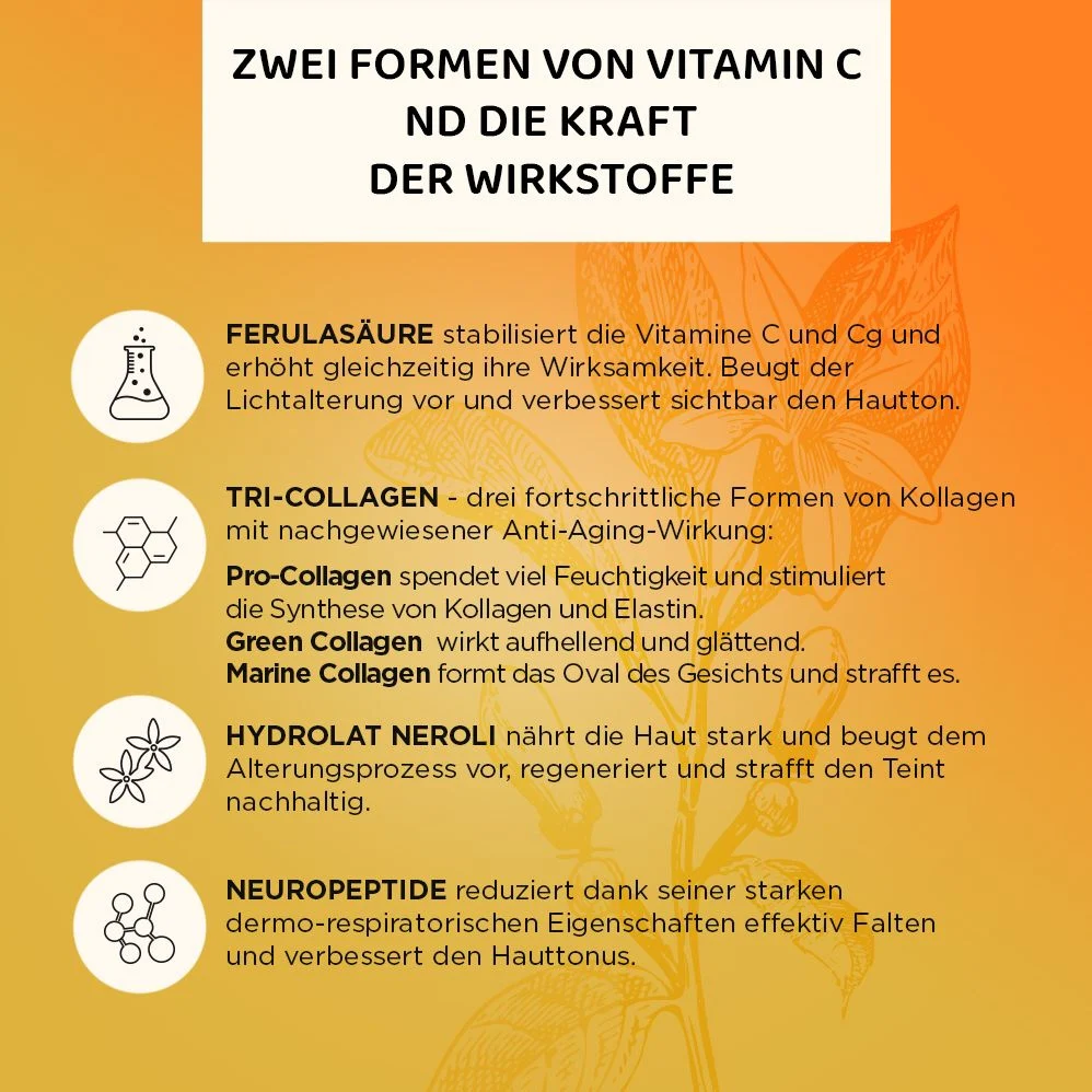 Vorschaubild 7