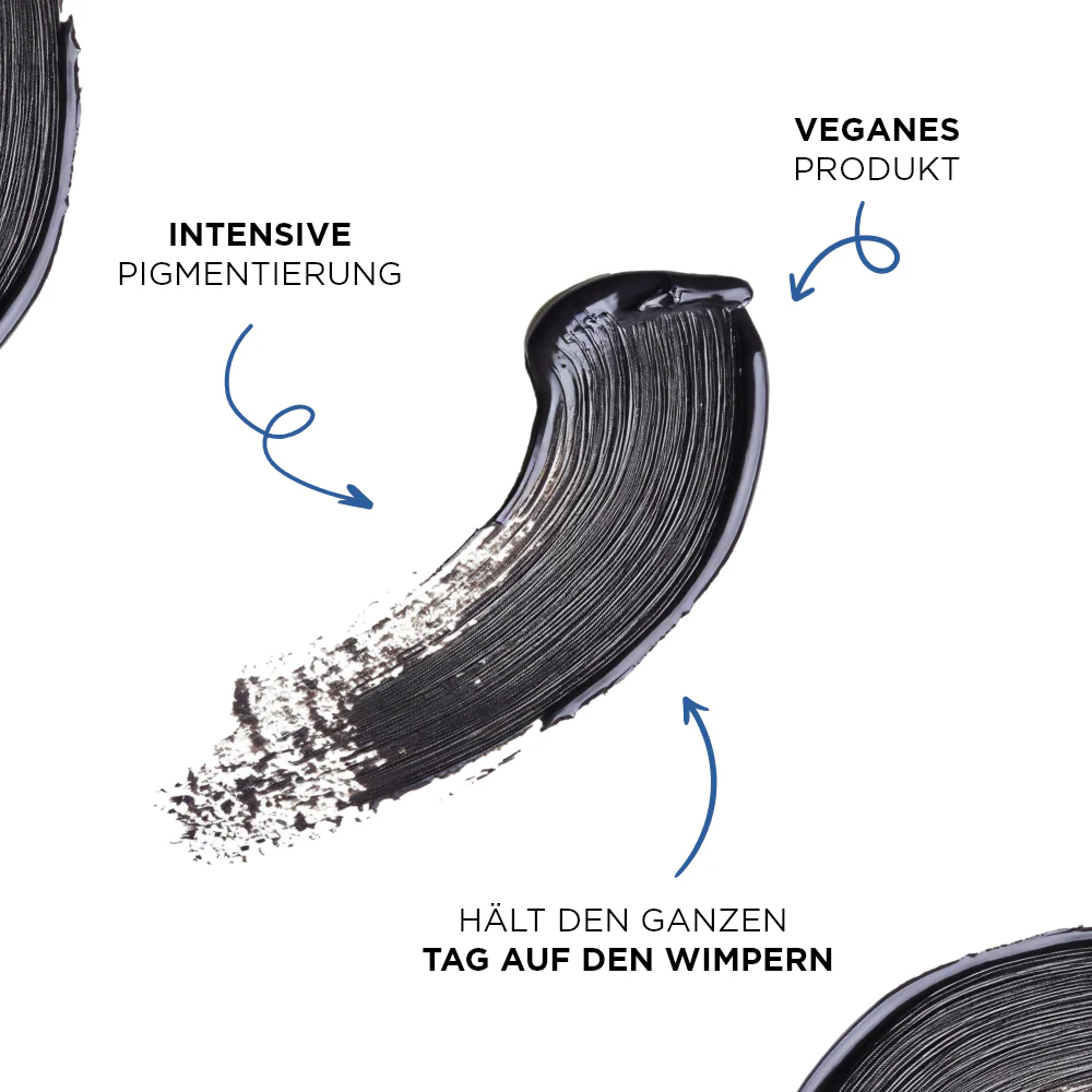Vorschaubild 8